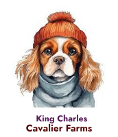 Hegge's Cavalier King Charles spaniel Farms